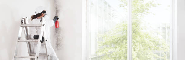 Best Mold-Related Health Consultation  in Flower Hill, NY