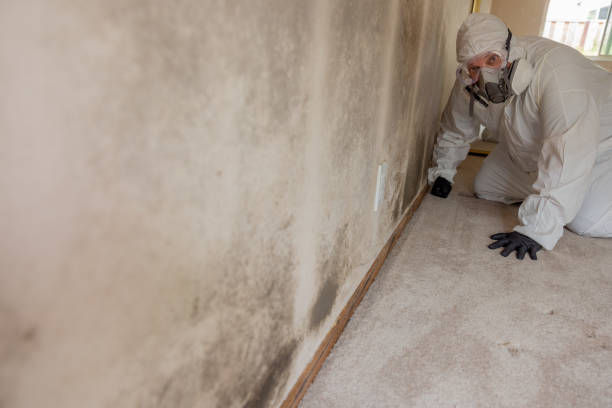Asbestos and Lead Testing During Mold Inspection in Flower Hill, NY
